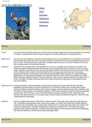Species Fact Sheet (PDF) - Kora