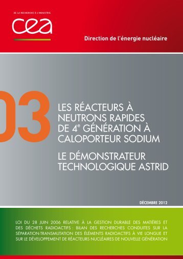 Tome 3 : « Les réacteurs à neutrons rapides de 4ème ... - CEA