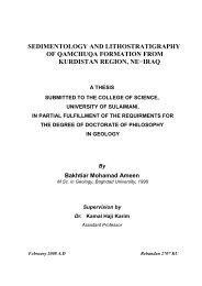 sedimentology and lithostratigraphy of qamchuqa formation from ...