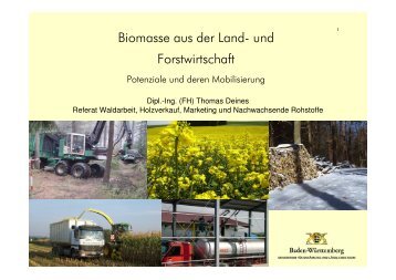 Folien zum Vortrag (PDF 4,2 MB) - KURS