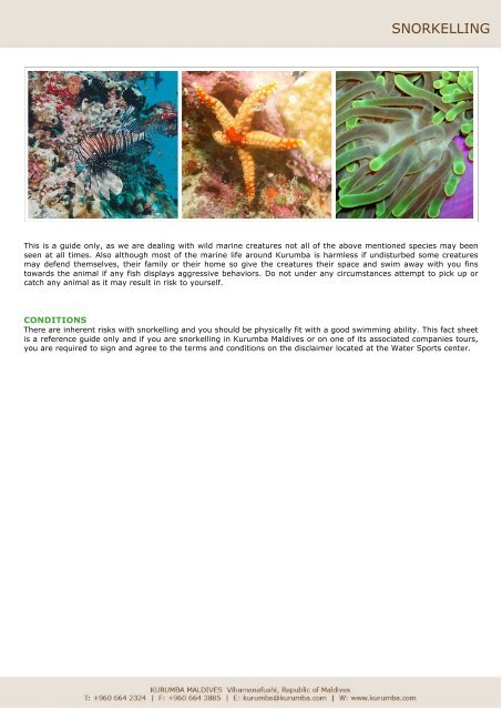 SNORKELING FACT SHEET - Kurumba Maldives