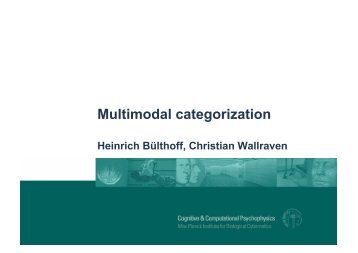 Multimodal categorization