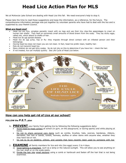Head Lice Action Plan For Mls Calgary Board Of Education