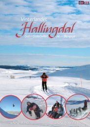 Hallingdal