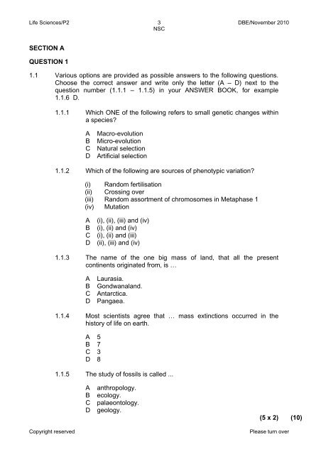 P2Exam - Sci-Bono Discovery Centre