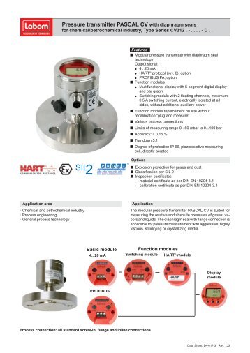 d4-017-3_transmitter_pascal_cv_chemical-petro.pdf (681.4K)