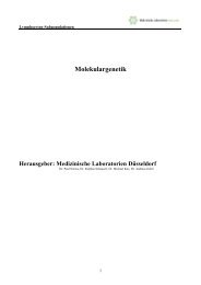 Molekulargenetik - Medizinische Laboratorien DÃ¼sseldorf