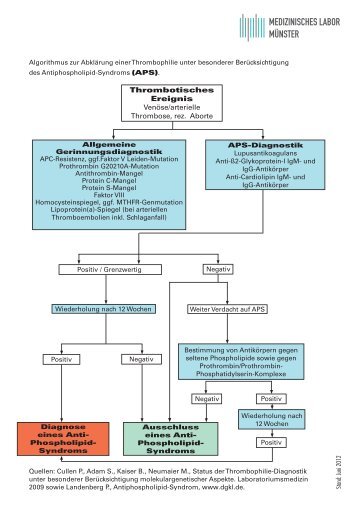 Thrombophilie - im Medizinischen Labor MÃ¼nster