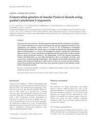 Conservation genetics of insular Podarcis lizards using ... - Lacerta