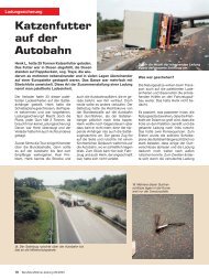 Katzenfutter auf der Autobahn - Ladungssicherung.de