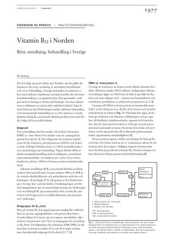 Vitamin B12 i Norden