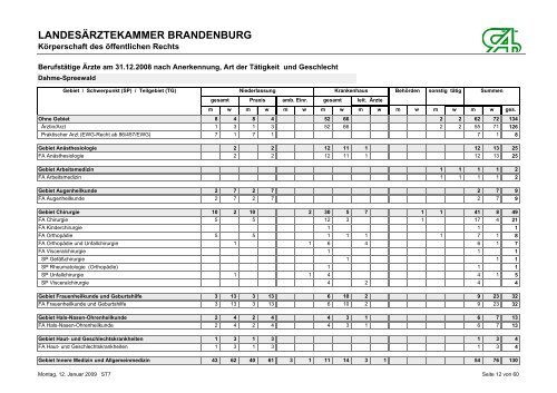 BerufstÃ¤tige Ãrzte am 31.12.2008 nach Anerkennung, Art der ...