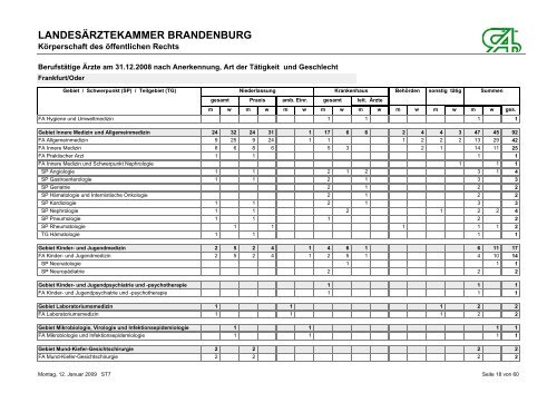 BerufstÃ¤tige Ãrzte am 31.12.2008 nach Anerkennung, Art der ...