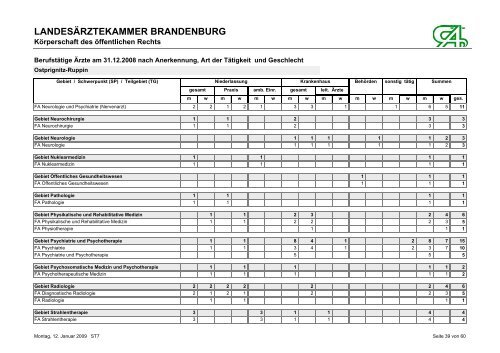 BerufstÃ¤tige Ãrzte am 31.12.2008 nach Anerkennung, Art der ...