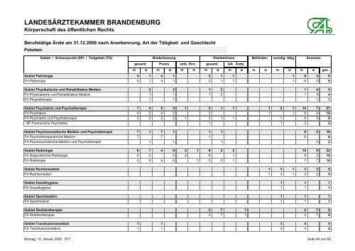 BerufstÃ¤tige Ãrzte am 31.12.2008 nach Anerkennung, Art der ...