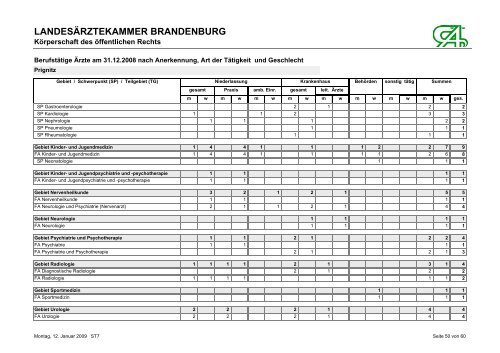 BerufstÃ¤tige Ãrzte am 31.12.2008 nach Anerkennung, Art der ...