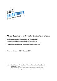 Abschlussbericht Projekt Budgetassistenz - LAG Selbsthilfe Baden ...