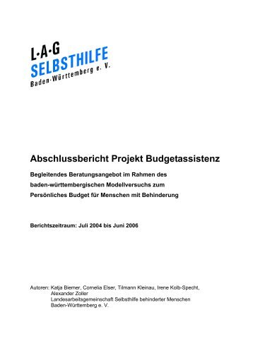 Abschlussbericht Projekt Budgetassistenz - LAG Selbsthilfe Baden ...
