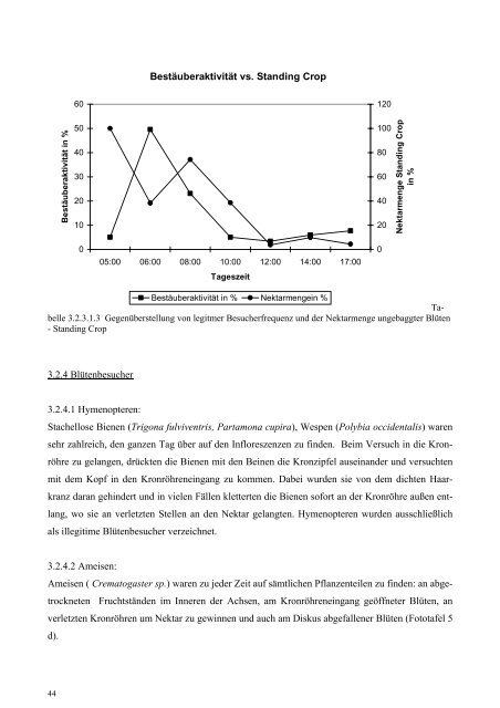 DIPLOMARBEIT - Tropenstation | La Gamba