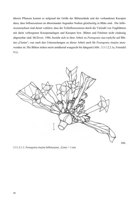 DIPLOMARBEIT - Tropenstation | La Gamba