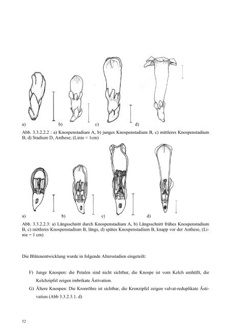 DIPLOMARBEIT - Tropenstation | La Gamba