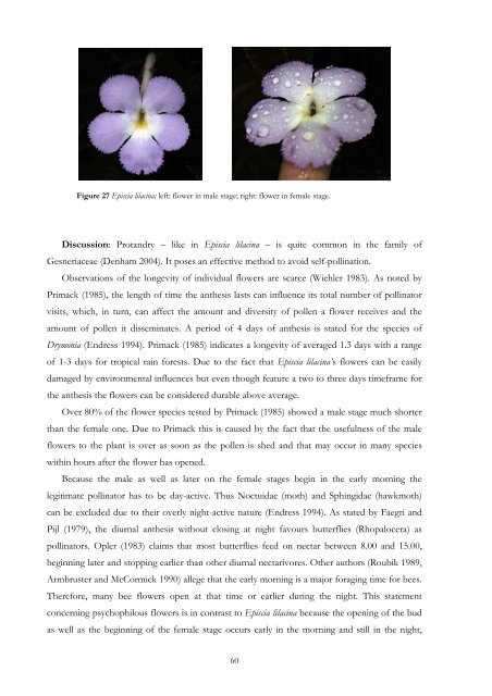 Leaf colour patterns, vegetative and sexual reproduction of Episcia ...