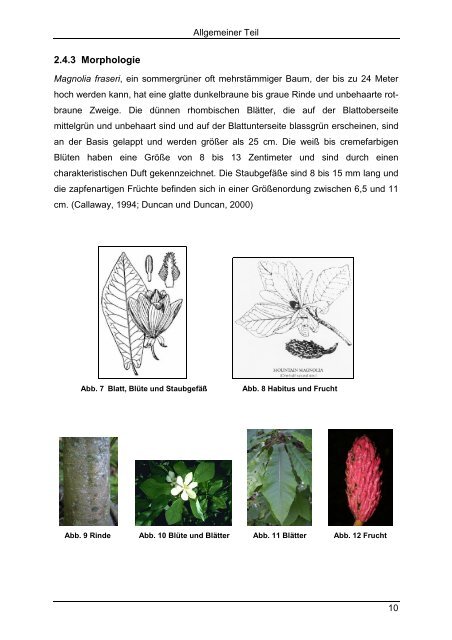 DIPLOMARBEIT Untersuchungen zur LignanfÃ¼hrung von Magnolia ...