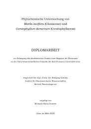 DIPLOMARBEIT - Tropenstation | La Gamba