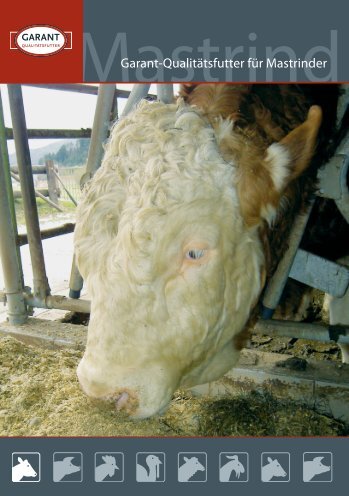 Mastrind - Raiffeisen Lagerhaus Hippach