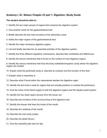 Anatomy I, Dr. Nelson Chapter 23 part 1, Digestion, Study Guide