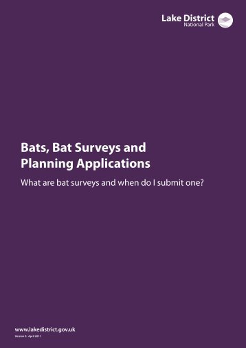 Bats, Bat Surveys and Planning Applications - Lake District National ...