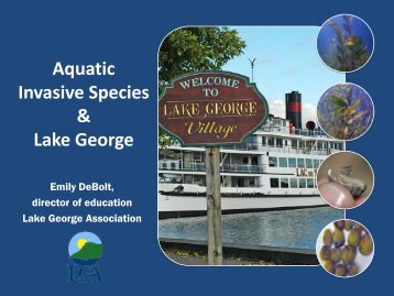 Aquatic Invasive Animals in Lake George - Lake George Association