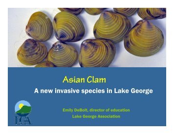 Asian Clam - Lake George Association