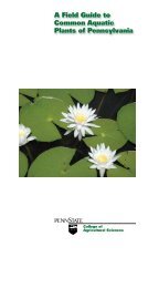 A Field Guide to Common Aquatic Plants of Pennsylvania (PDF)