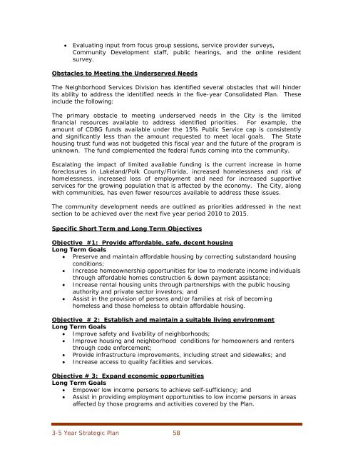 CONSOLIDATED PLAN & STRATEGY 5-YEAR ... - City of Lakeland