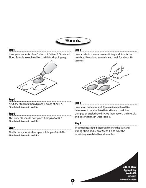 Abo Rh Simulated Blood Typing Worksheet Answers - worksheet