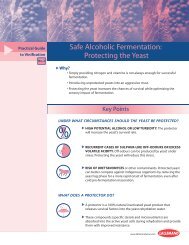 Safe Alcoholic Fermentation: Protecting the Yeast - Lallemand Wine