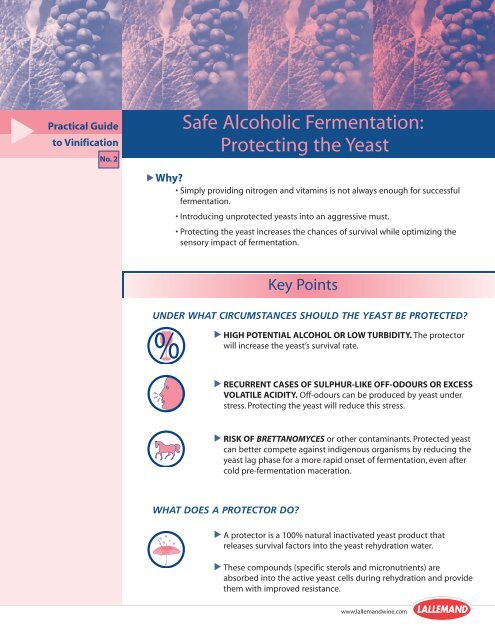 Safe Alcoholic Fermentation: Protecting the Yeast - Lallemand Wine