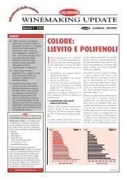 COLORE: LIEVITO E POLIFENOLI - Lallemand Wine