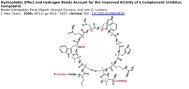 Hydrophobic Effect and Hydrogen Bonds Account for the Improved ...