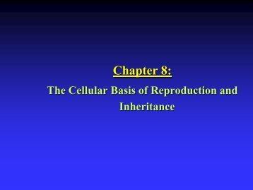 Chapter 8: Mitosis - Cell Division and Reproduction