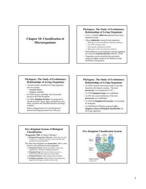 Chapter 10: Classification Of Microorganisms Chapter 10: Classification Of Microorganisms
