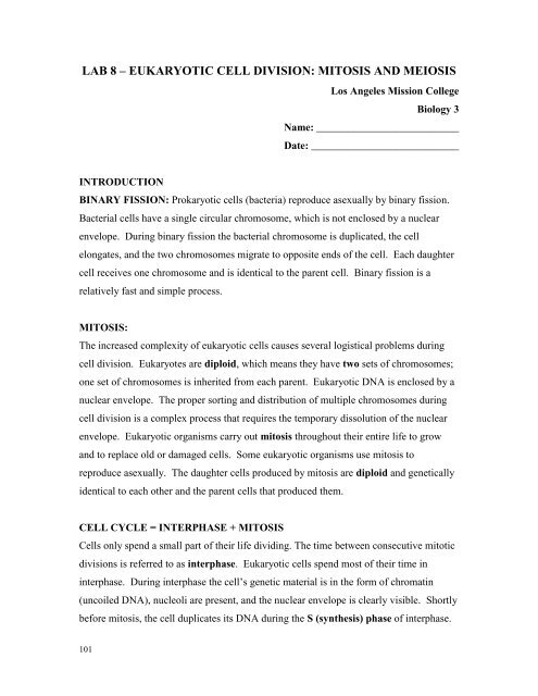 eucaryotic cell division: mitosis and meiosis - Los Angeles Mission ...