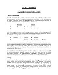 LAB 5 â Enzymes