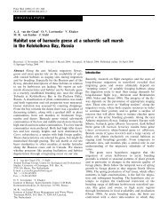 Habitat use of barnacle geese at a subarctic salt marsh in the ...