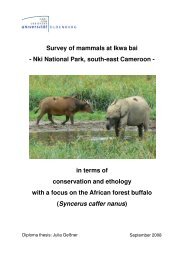 Survey of mammals at Ikwa bai - Landscape Ecology