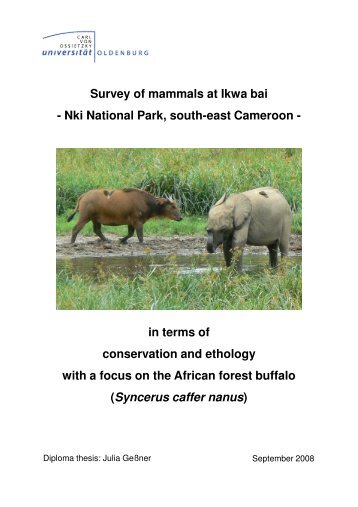 Survey of mammals at Ikwa bai - Landscape Ecology