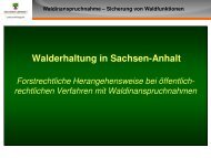Walderhaltung in Sachsen-Anhalt, Forstrechtliche ...