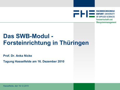 Forsteinrichtung in Thüringen