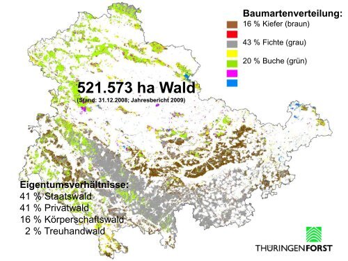 Forsteinrichtung in Thüringen